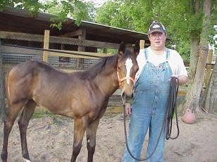 Vintage photo of Lewis G. Frost Jr., the patriarch of 4F, standing with his bay racehorse Jojo
