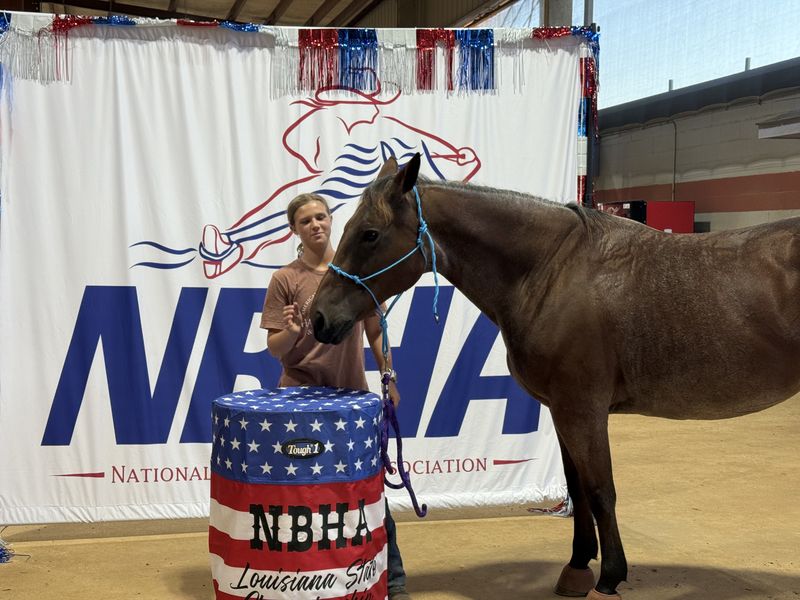 Pepper, a red roan, nuzzling toward Adeline at the NBHA Louisiana State show
