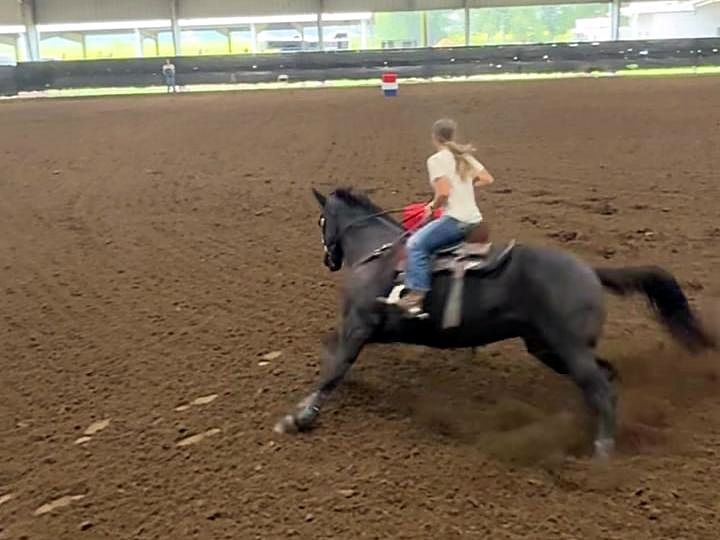 Adeline Frost driving Blackie, a black horse, out of a barrel turn